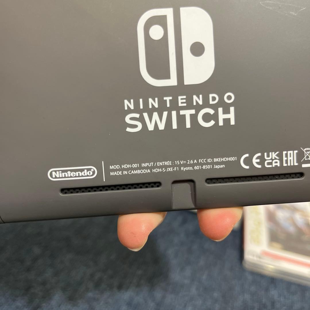 Nintendo Switch Lite グレー　カセット付き
