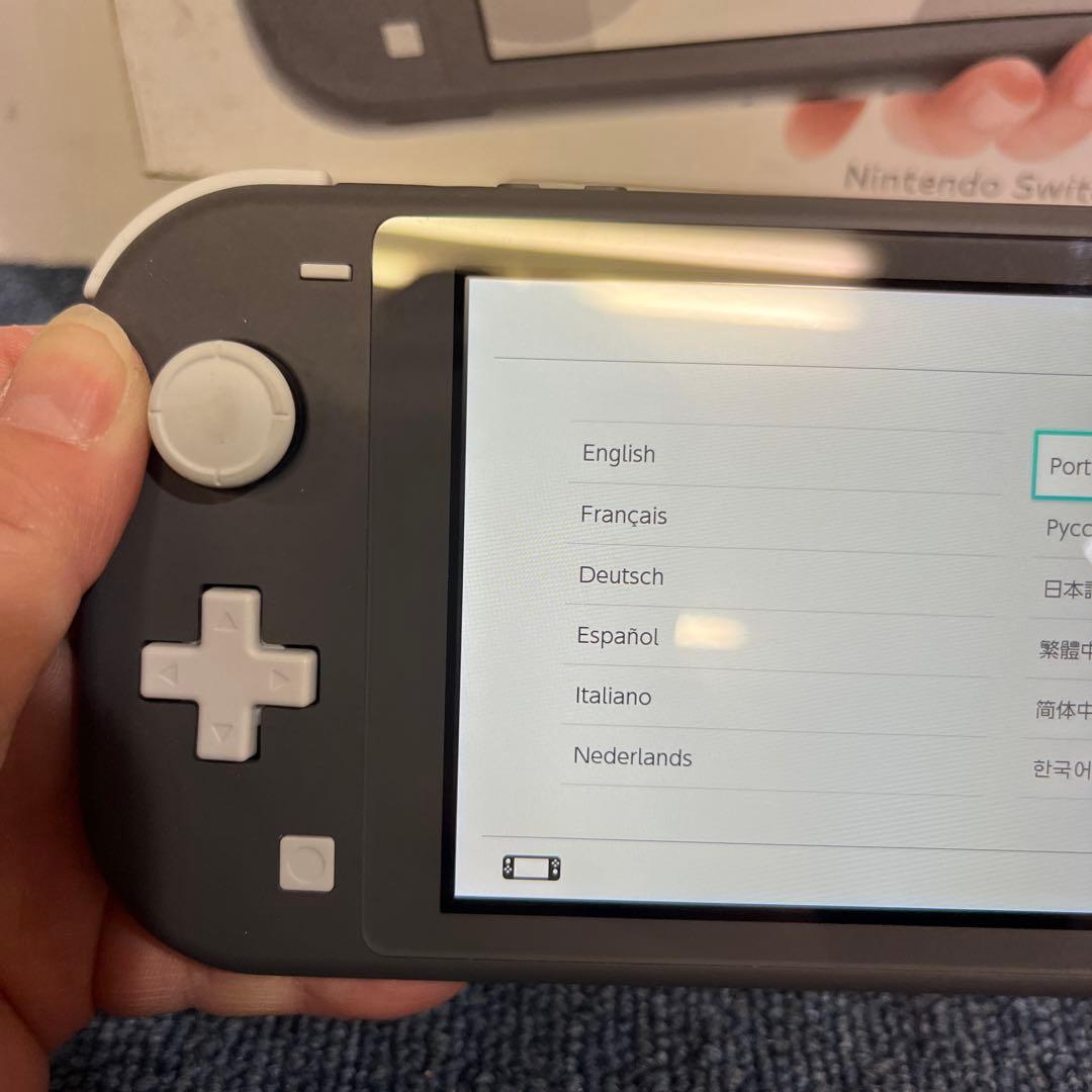 Nintendo Switch Lite グレー　カセット付き