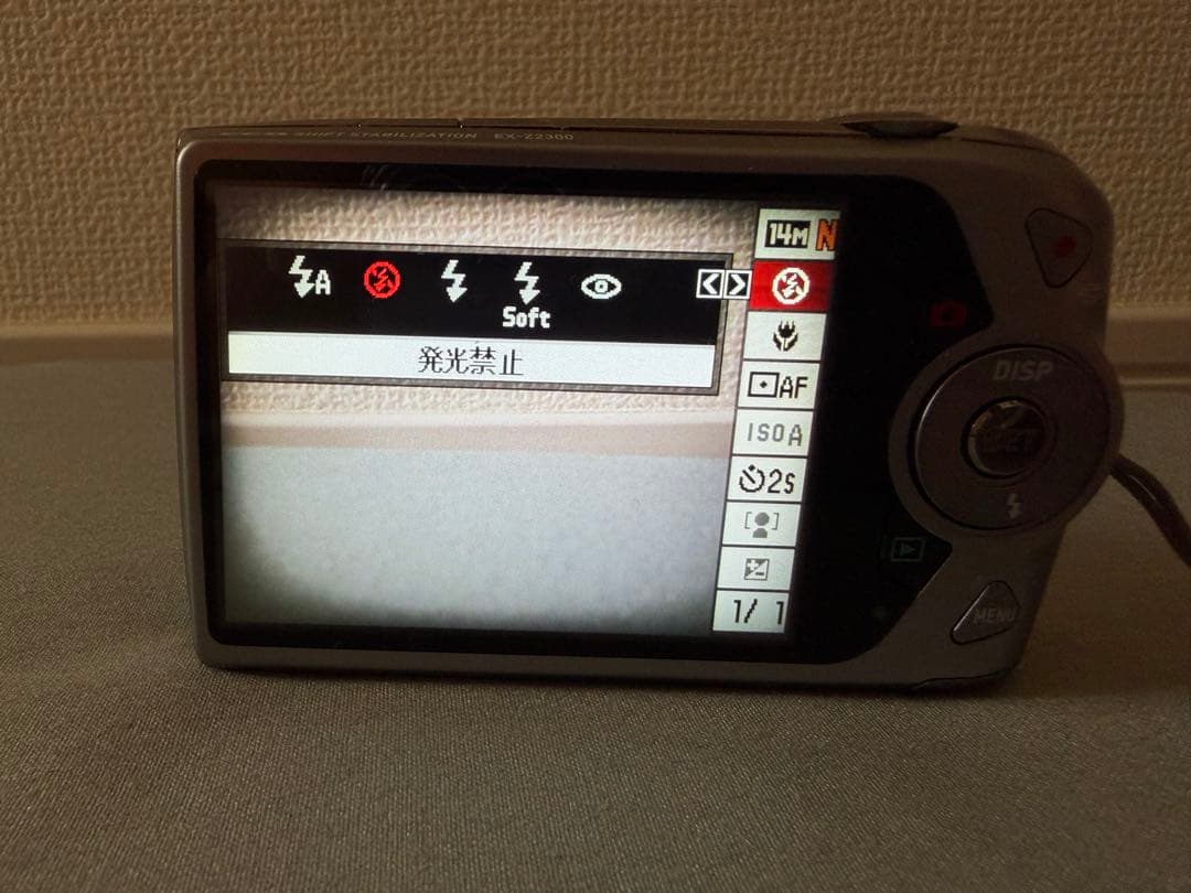 CASIO EXILIM ブルーデジタルカメラ　ケース、バッテリー、sdカード付