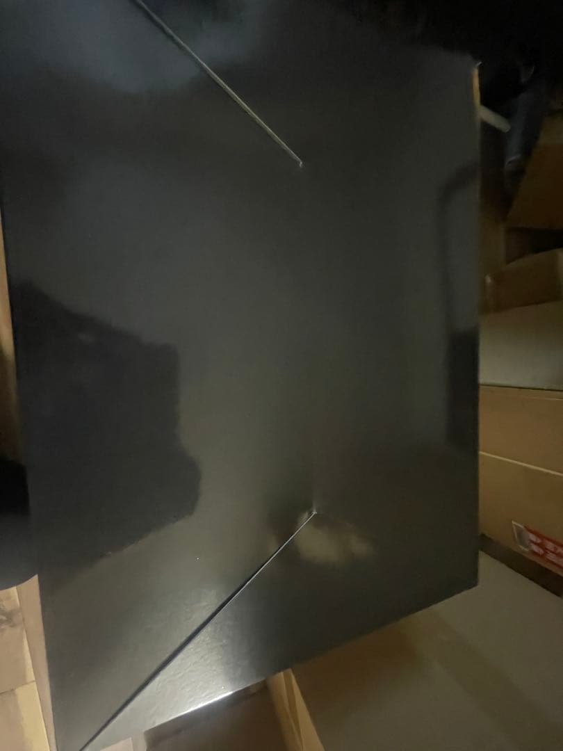 初音ミク Miku With You 2019