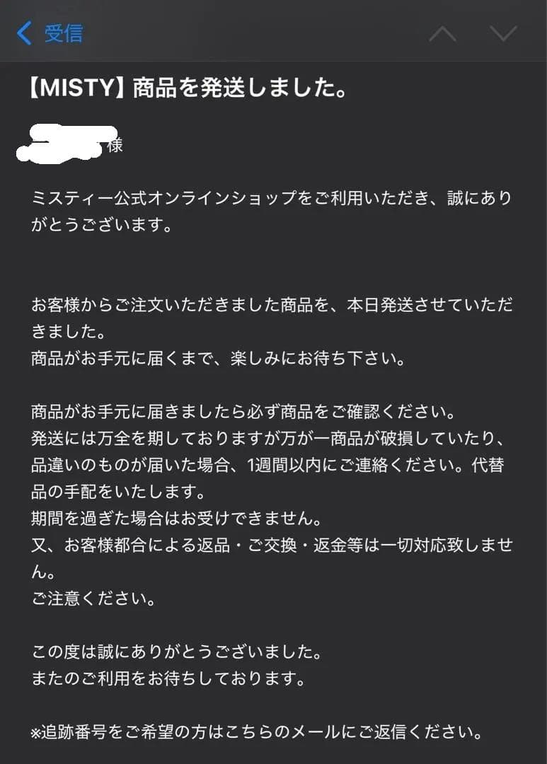 Z400GP ミスティショート管