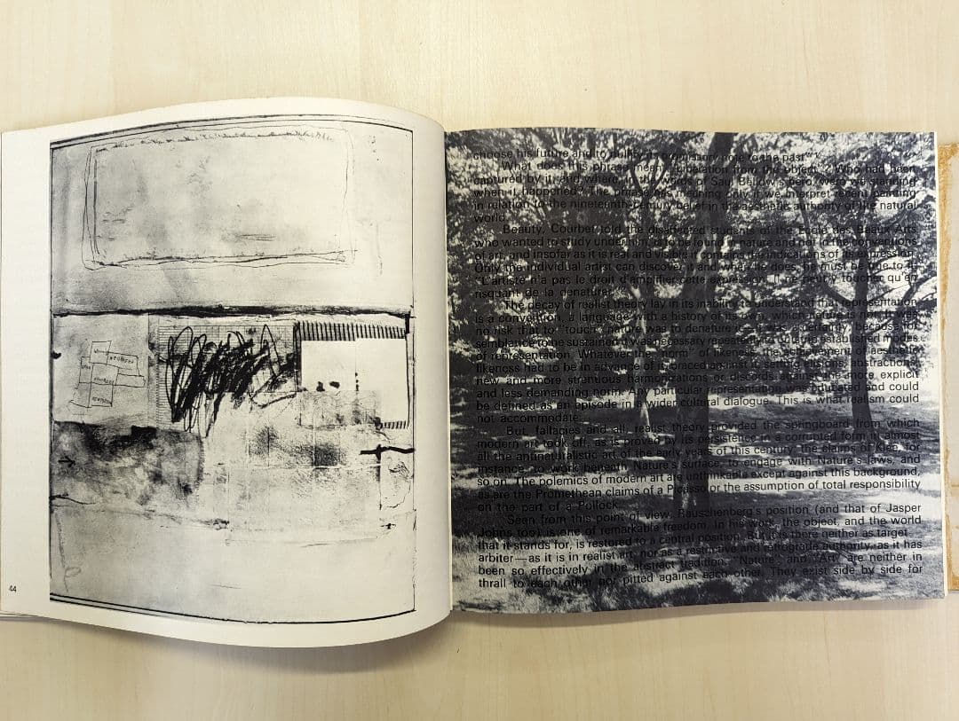 Rauschenberg ラウシェンバーグ　ネオ・ダダ　現代美術