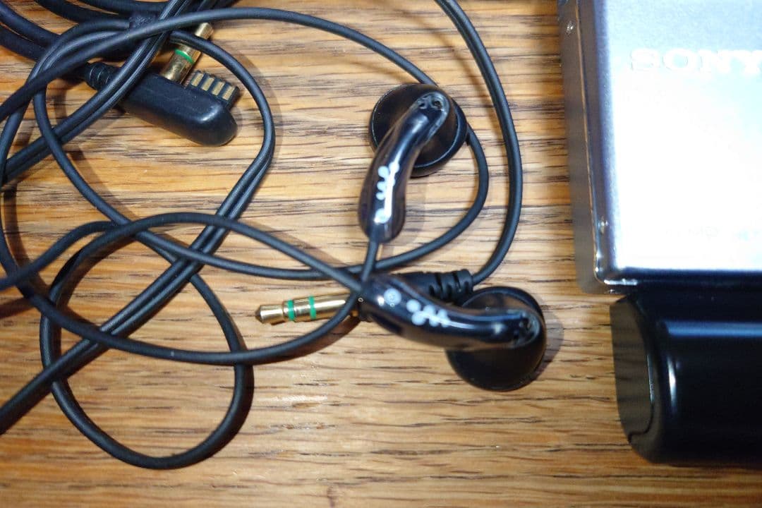 ぴ*ー様 SONY WALKMAN MDプレーヤー MZ-N920 電池ケース