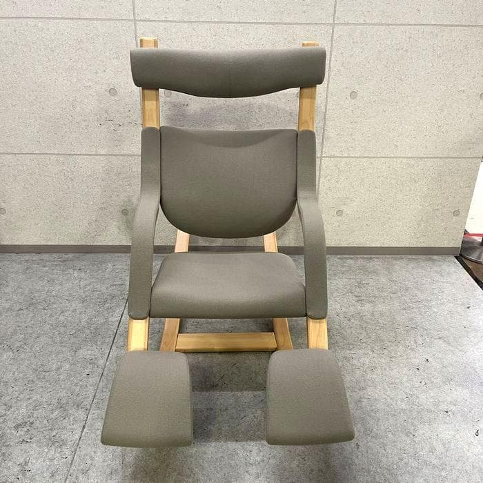 専用Varier Gravity ヴァリエール グラビティ バランスチェア 美品