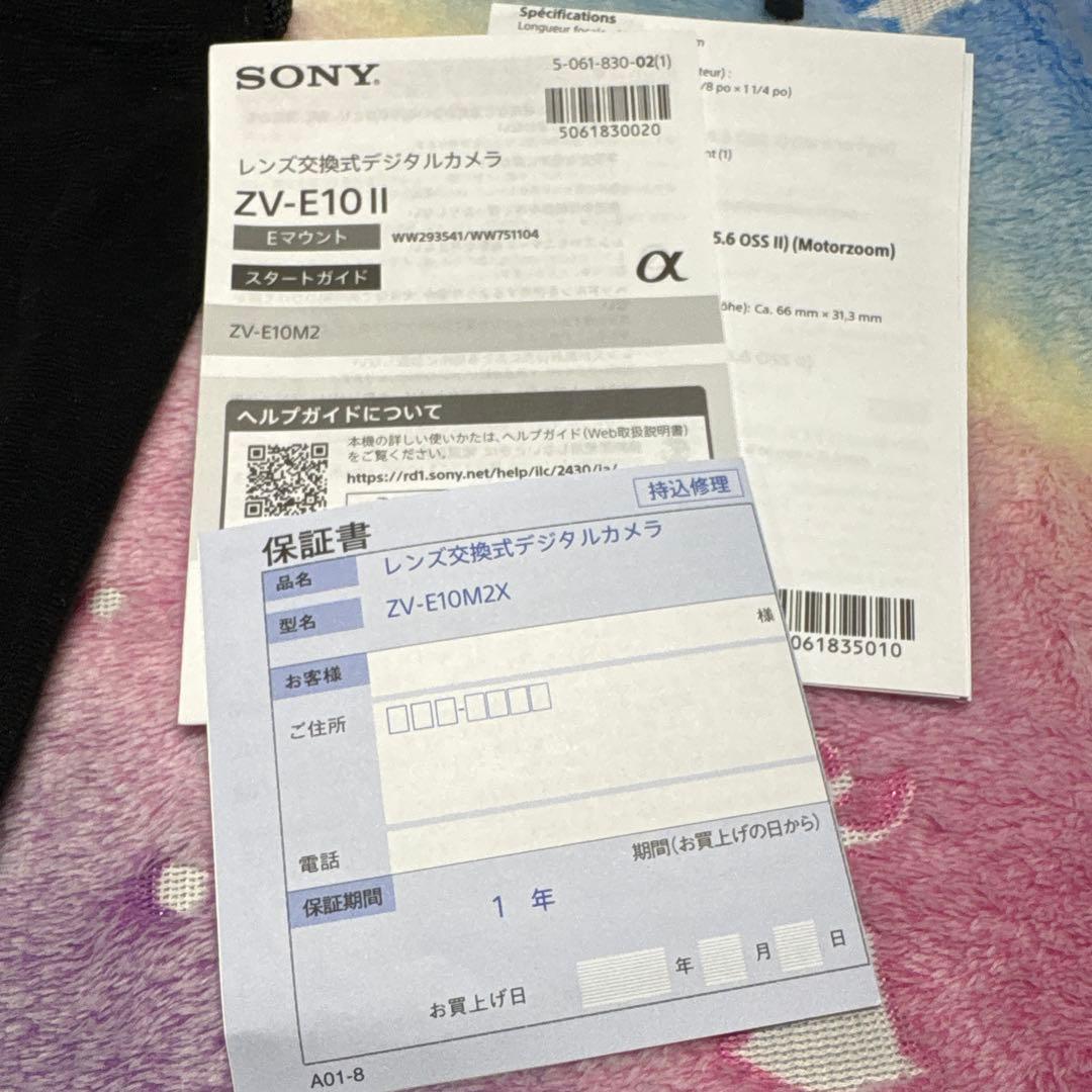 SONY ZV-E10M2Xホワイト 本体 + 付属品+予備バッテリー付属品多数