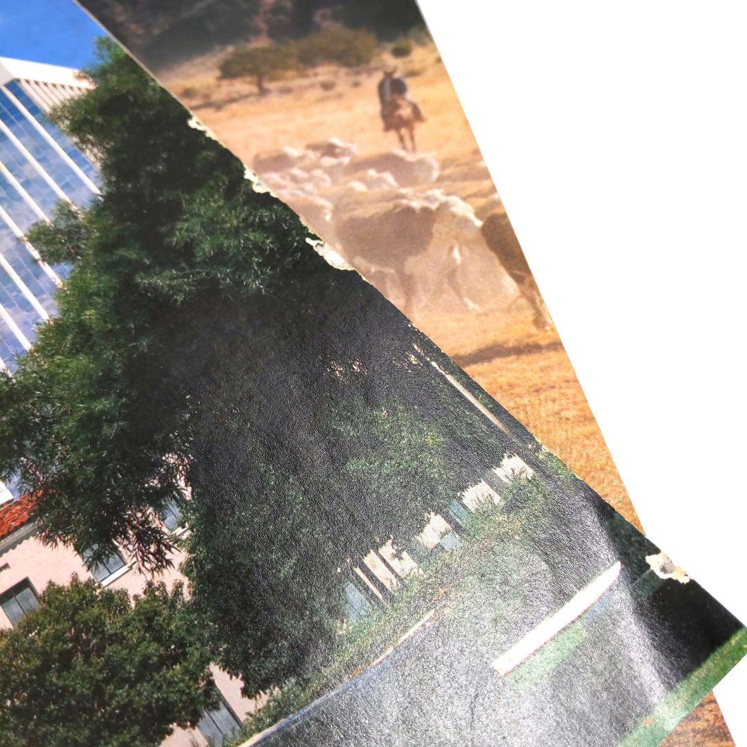 ARIZONA HIGHWAYS 1980年 1年分 アリゾナ 雑誌 アメリカ