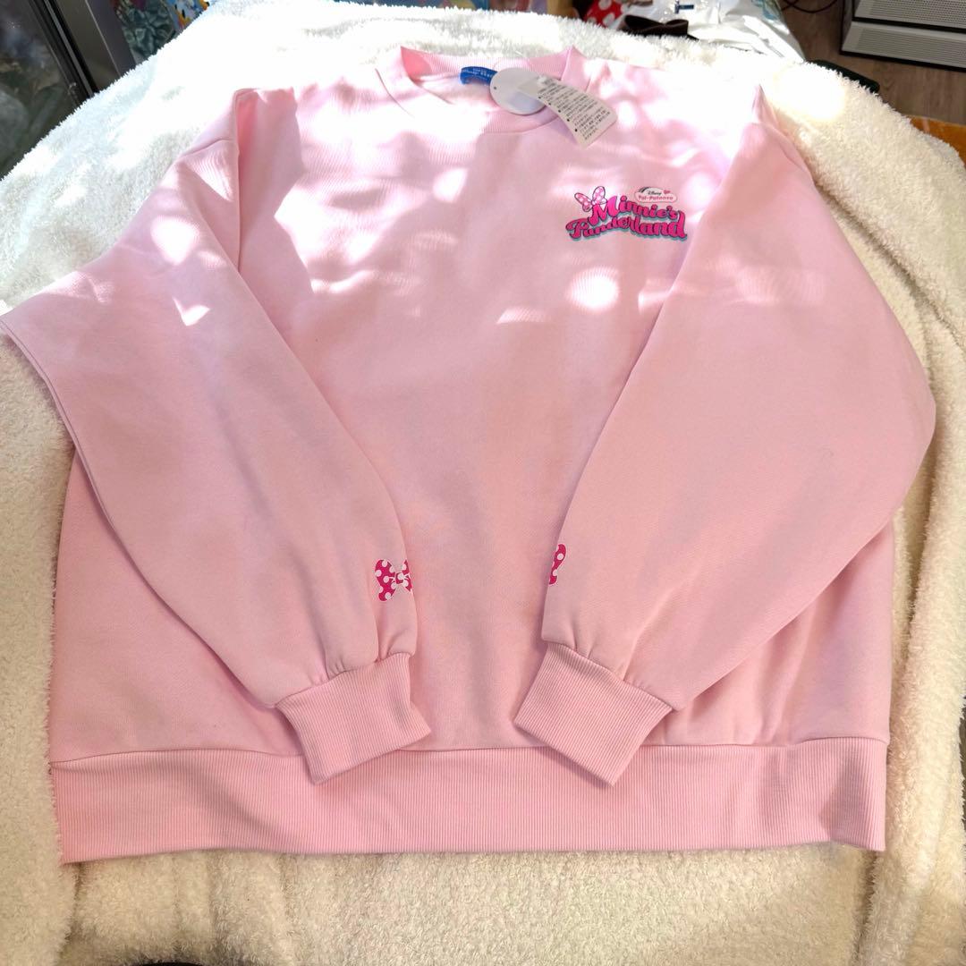 タイムセール⋆。˚✩ミニー　パルパルーザ 20点