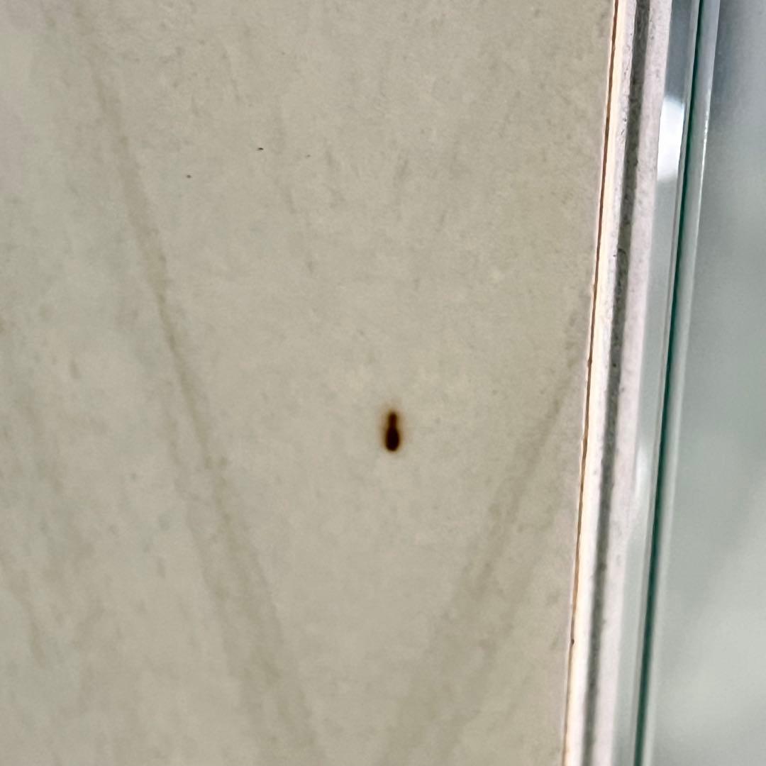 なゆさん꧁Eddi Rose エディローズ꧂ イタリア製ガラスショーケース