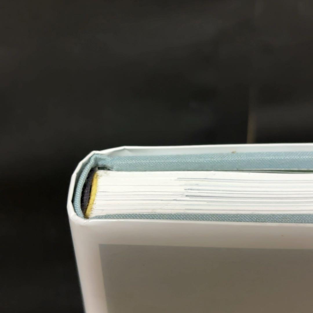 ライアン・マッギンレー 写真集 Ryan McGinley You and I