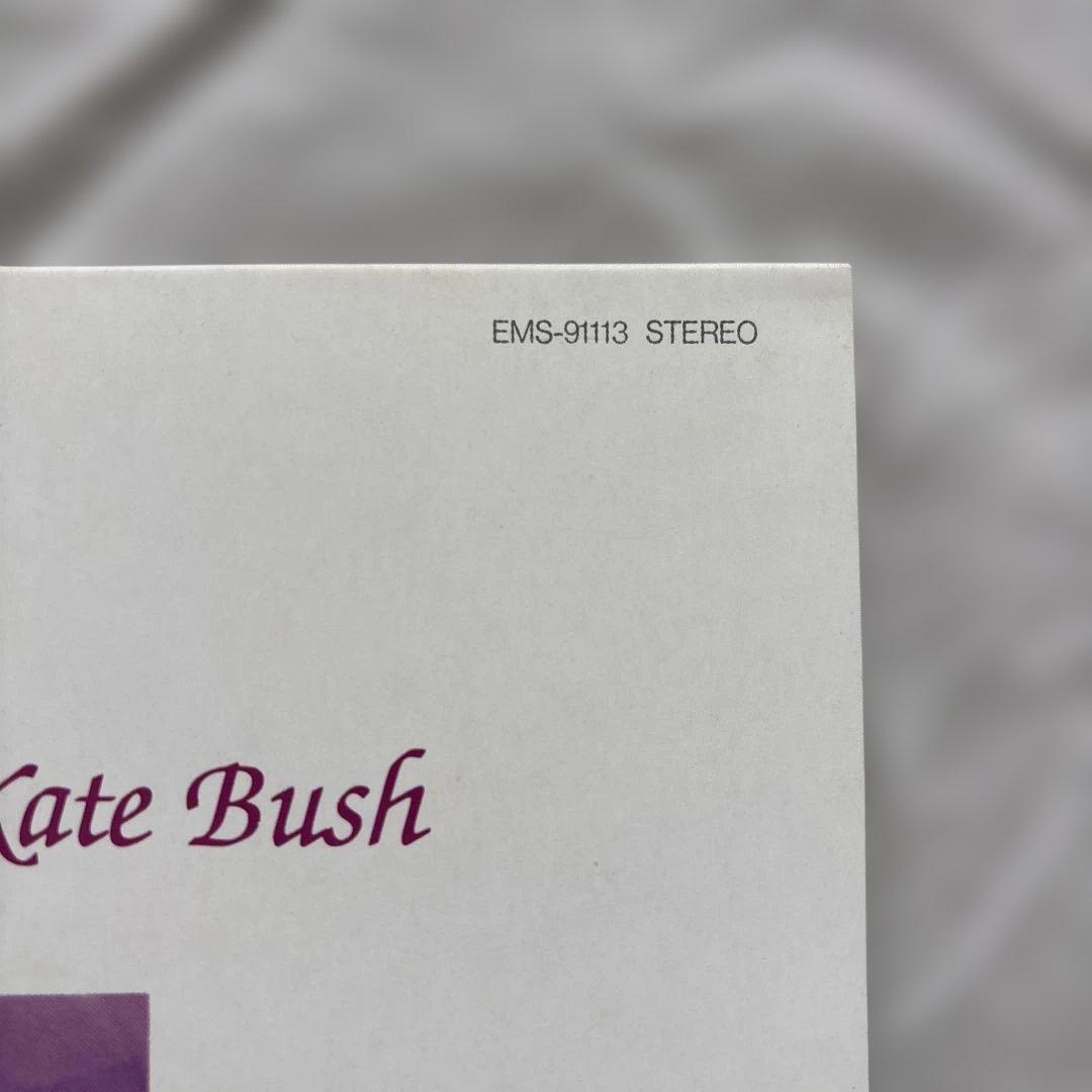 ケイト・ブッシュ 愛のかたち Hounds of Love レコード LP