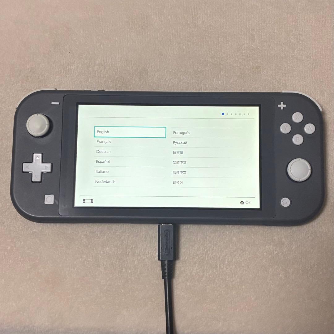 Nintendo Switch Lite スイッチライト グレー 本体