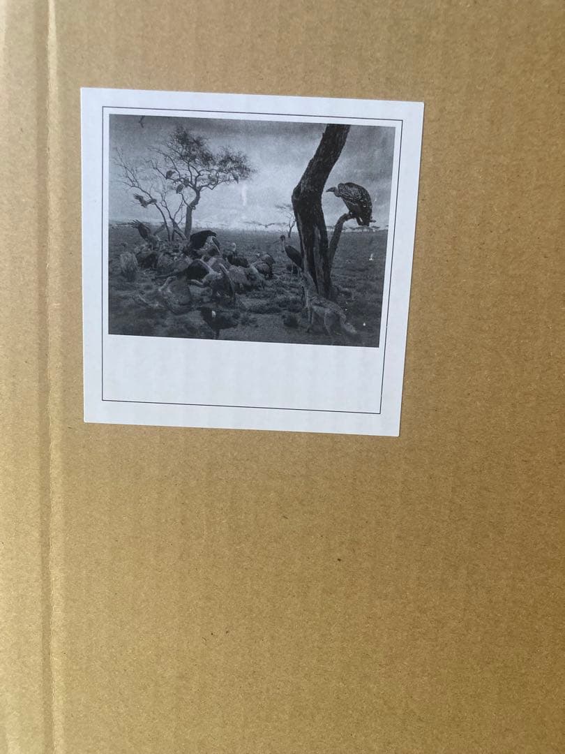 杉本博司　ポスター　『Hyena-Jackal-Vulture』