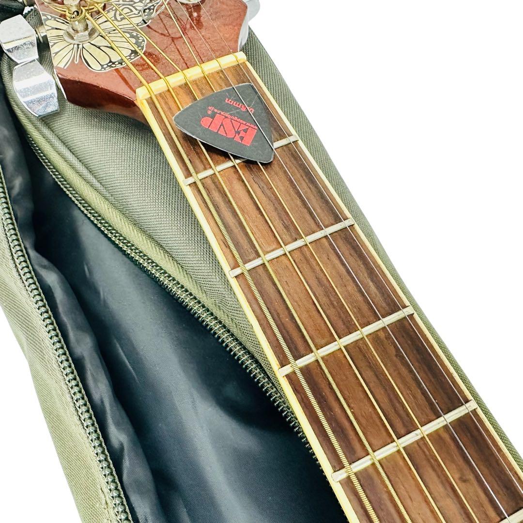 DAISY ROCK エレアコ　6280