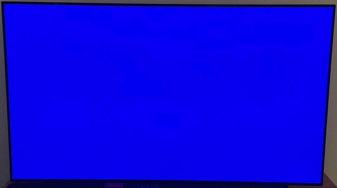 【最終値下げ】2021年モデル-LG有機ELテレビ55インチ