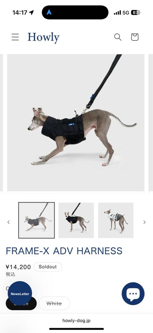 【Mサイズ黒】 試着のみHowly FRAME-X ADV HARNESS