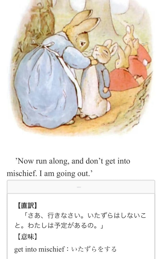 箱付き ハルシオンデイズ ピーターラビット 小物入れ ピルケース アクセサリー