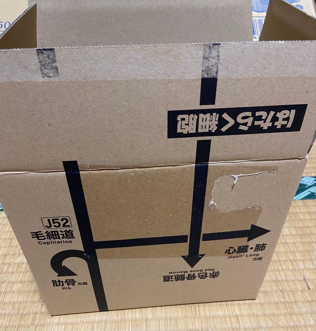 【即購入OK】映画 はたらく細胞 完全生産限定版・DVD・数量限定 未開封