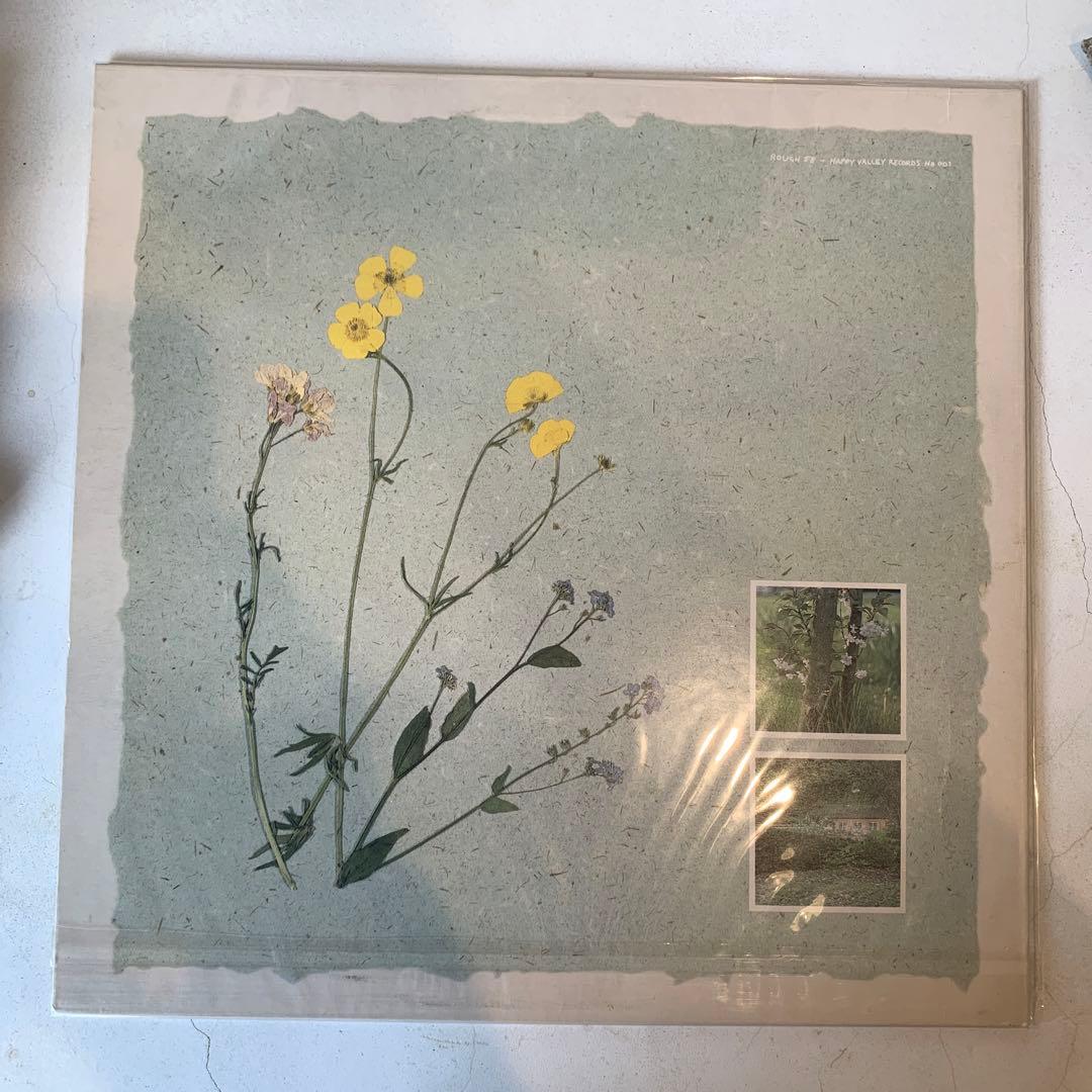 洋楽 VIRGINIA ASTLEY lp