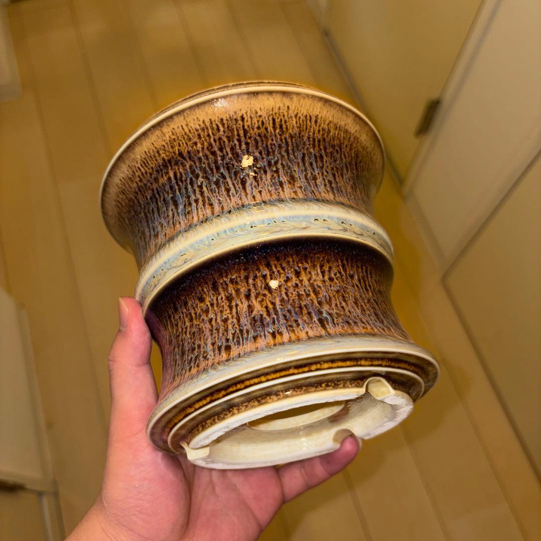 XL 盆栽鉢 作家鉢 陶器 真柏 糸魚川 皐月 五葉松 黒松 アガベ チタノタ