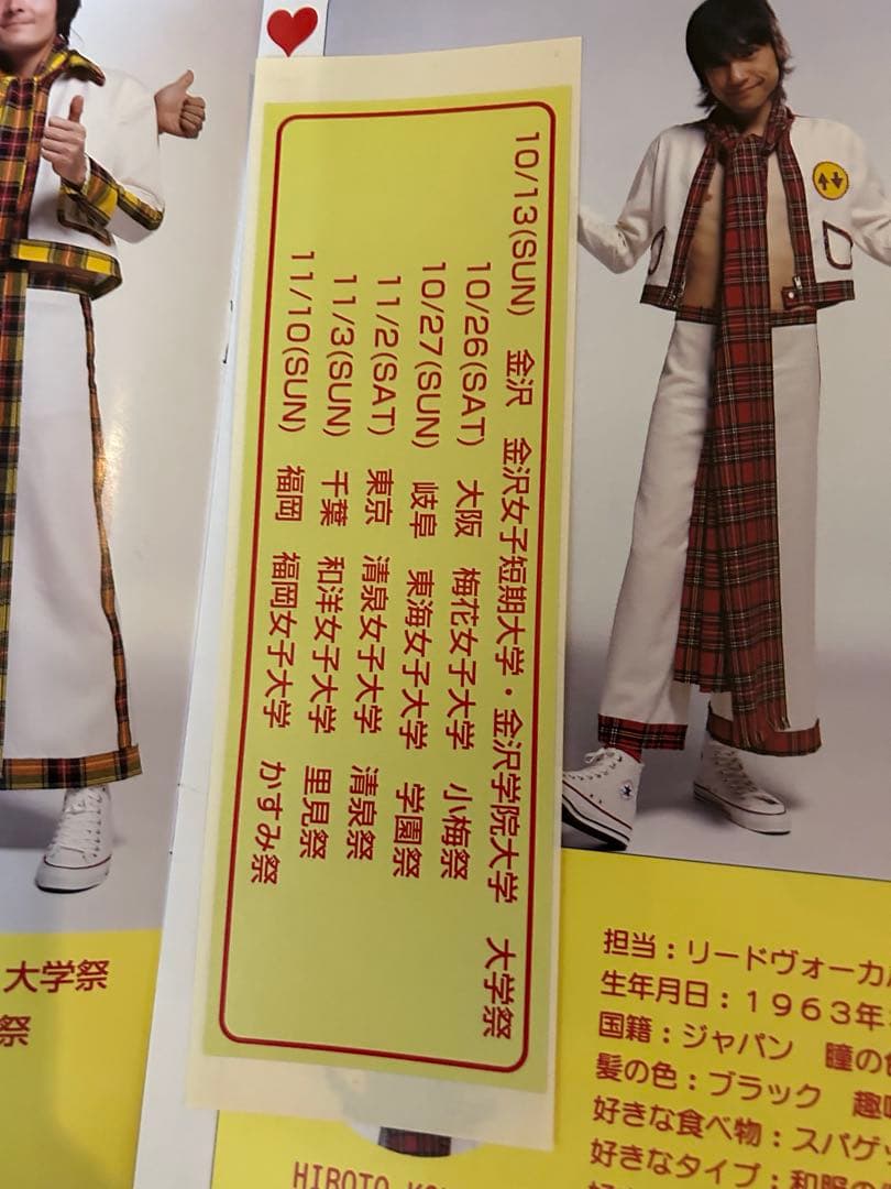 激レア　ブルーハーツ　ハイロウズ　パンフレット　大量10冊セット