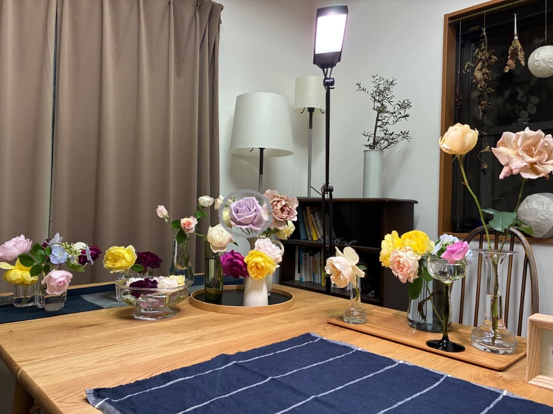 【バラ「超」大苗】　ブルームーン