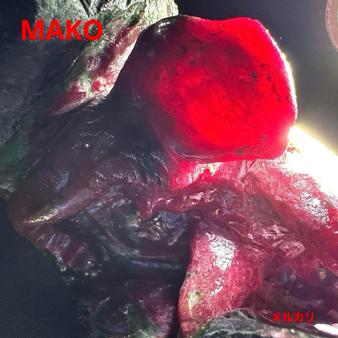 M1876☆天然ルビーゾイサイト彫刻【象】1Kg☆【鑑別書付き】☆天然石　原石