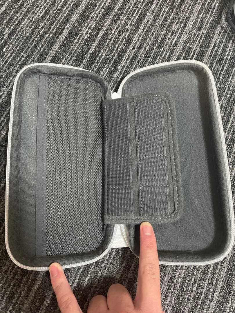 Nintendo switch Lite （本体ケース、カセット付き）