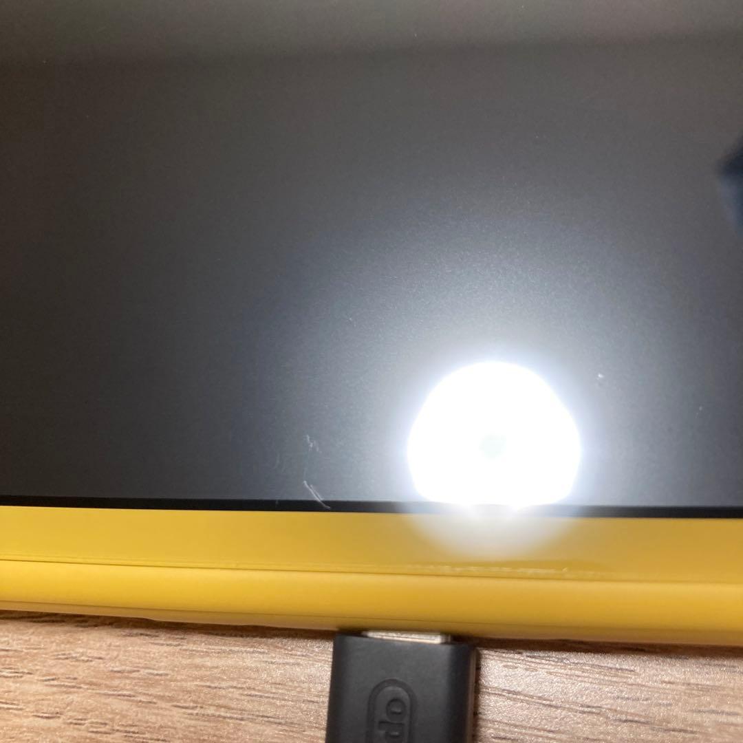 ニンテンドーSwitch lite 充電器付