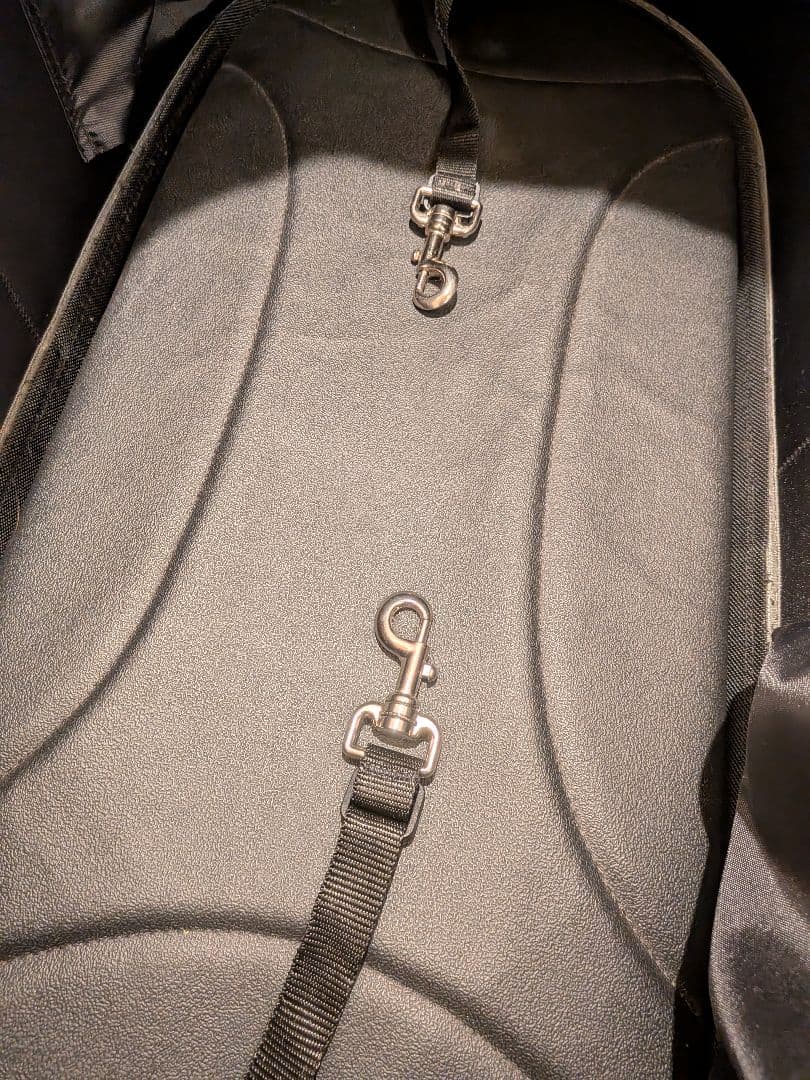 【美琴】AIRBUGGY ペットカート アースグレー