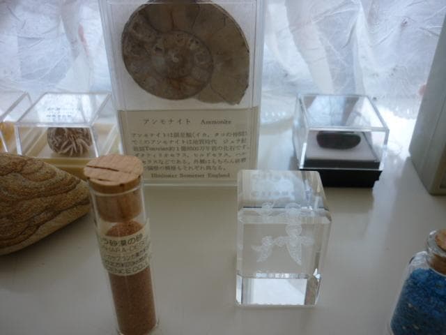 鉱石 化石 コレクション 自然インテリア まとめ売り