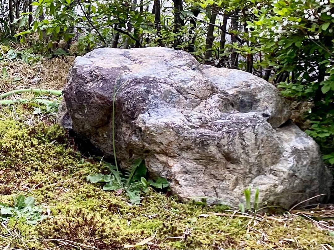 自然石 灰色 庭石3点セット！ 【石川県引き取り限定】まとめ割
