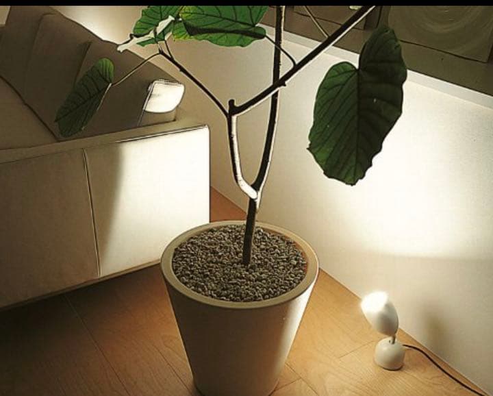 間接照明　DAIKO 大光　スタンド　２つセット