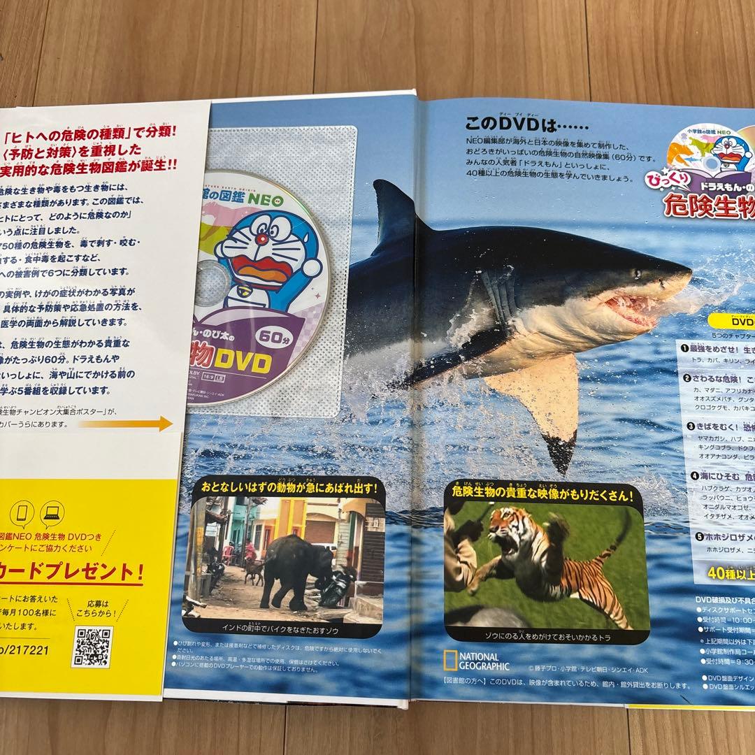 定価26840円　小学館の子ども図鑑　NEO　11冊　セット　DVD付