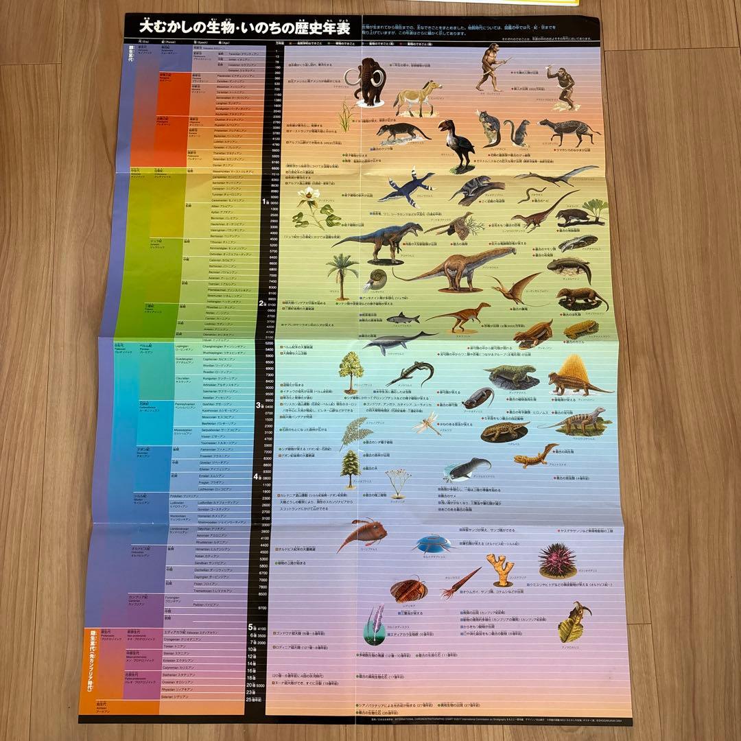 定価26840円　小学館の子ども図鑑　NEO　11冊　セット　DVD付