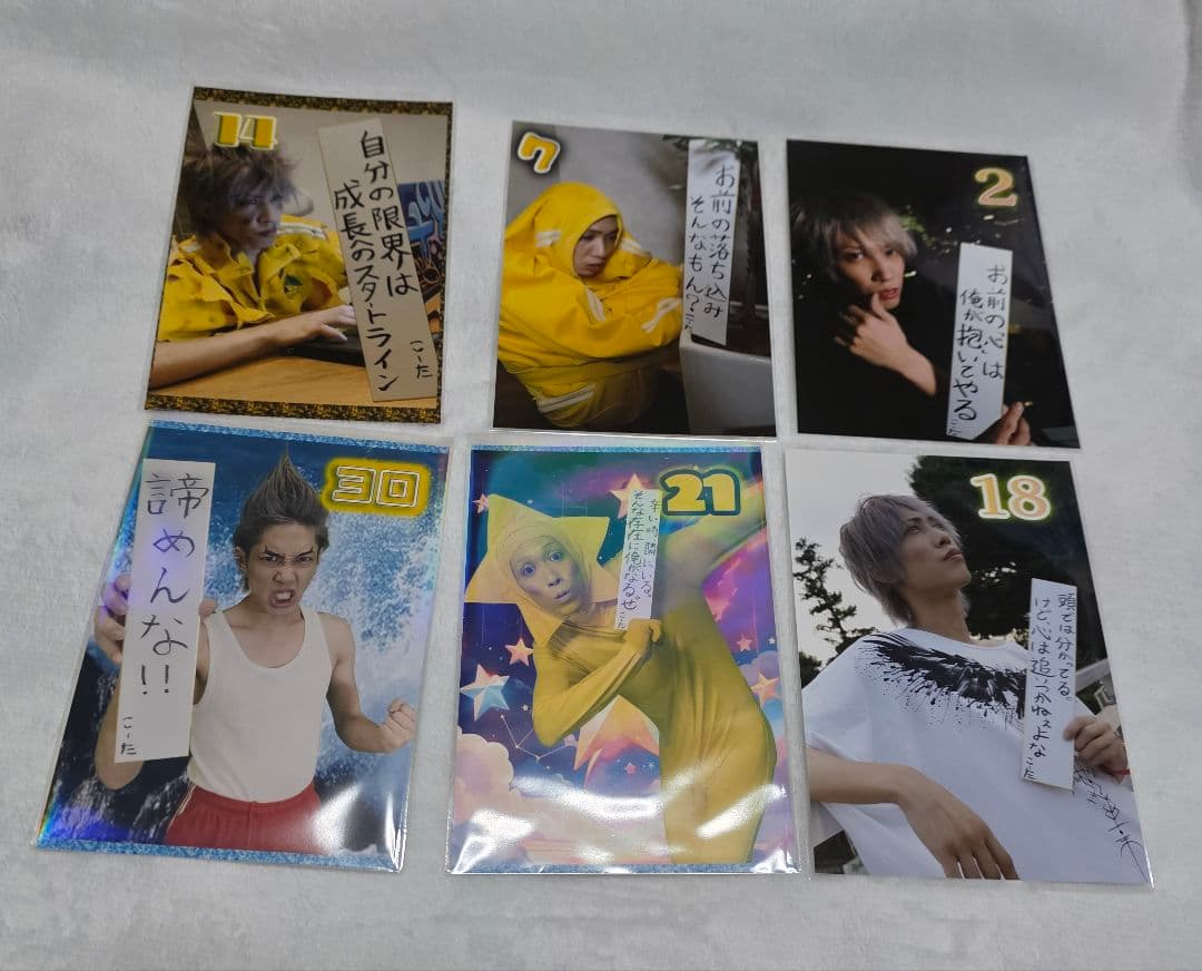 1日りあぴ ブロマイド 31枚セット