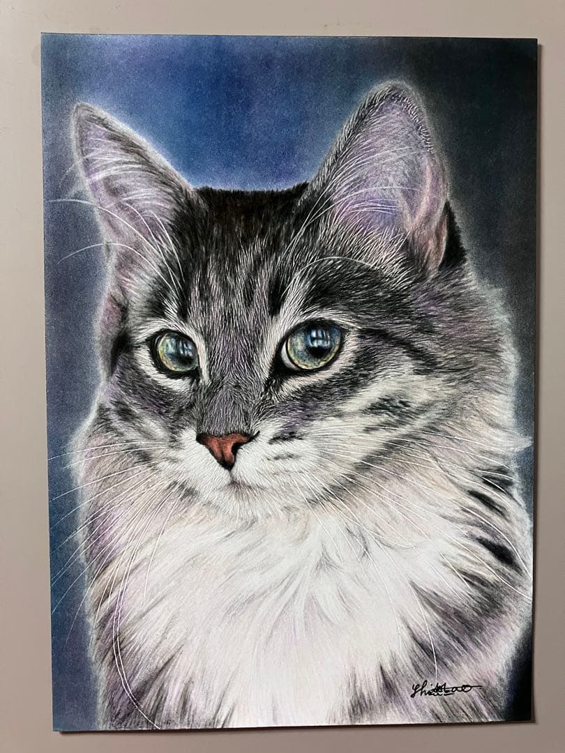 気高き猫 色鉛筆画 パステル