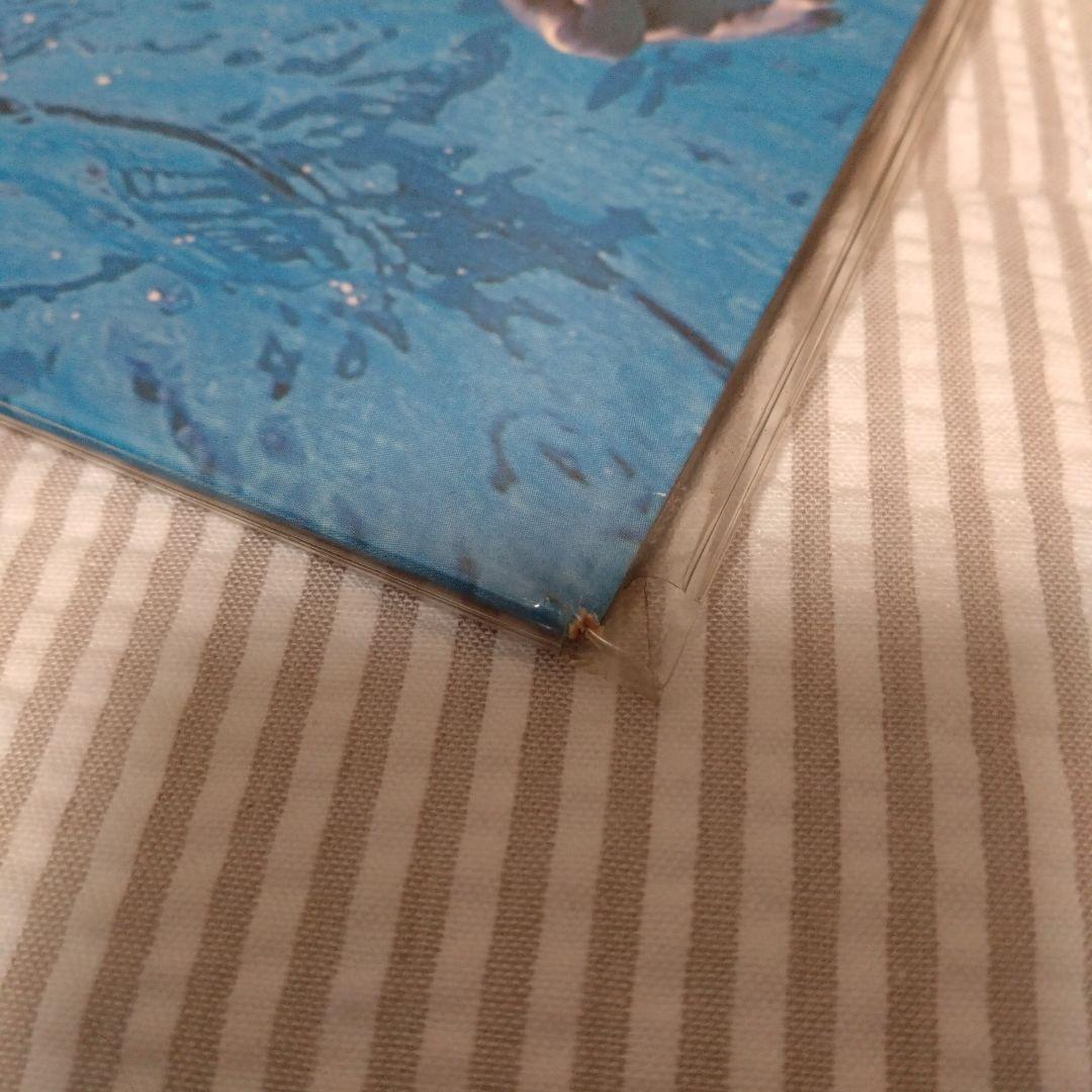 NIRVANA NEVERMIND レコード