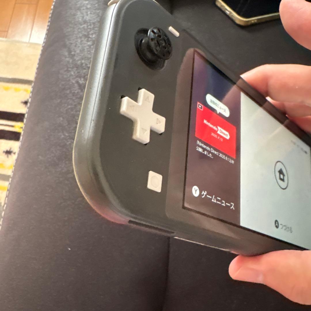 Nintendo Switch Lite グレー 本体、ACアダプター