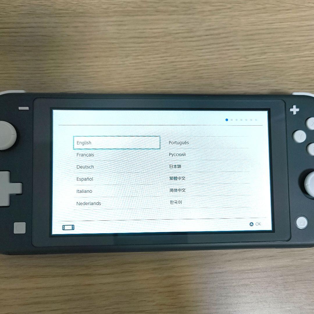 Nintendo Switch Lite グレー 本体＋ケース＋SDカード付き