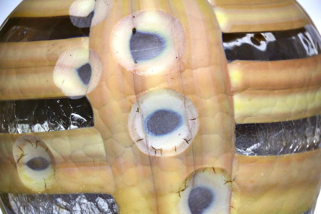 土田康彦　「ダイヤモンドと灰」