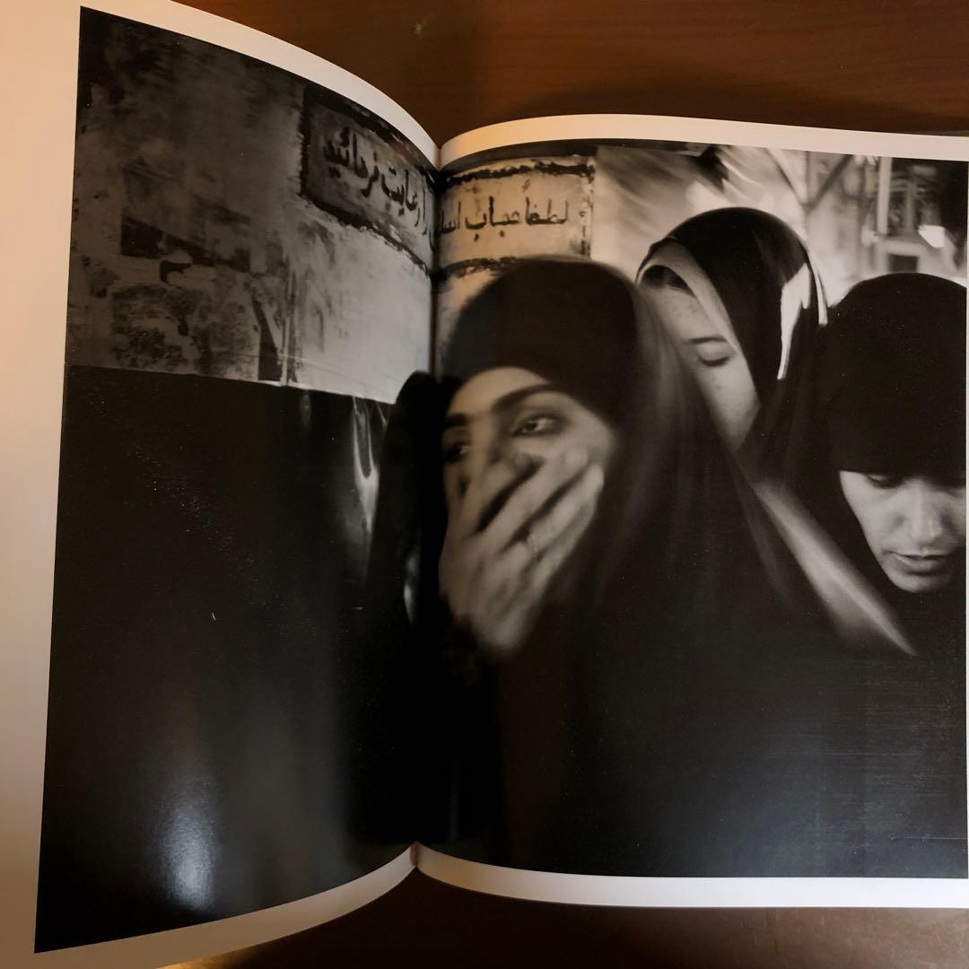 (珍しい本) DIES IRAE PAOLO PELLEGRIN (洋書)