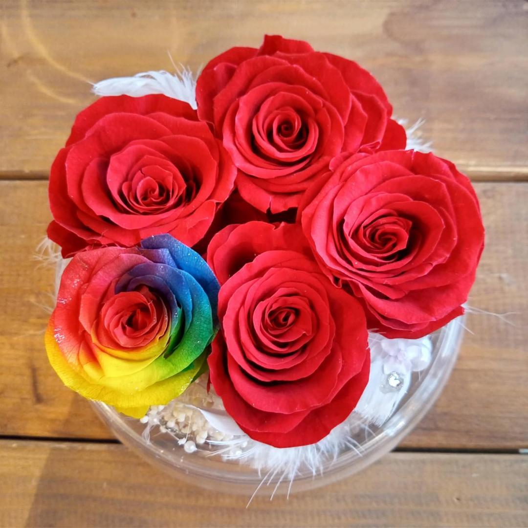 【高級プリザーブドフラワー】レインボーローズ ダイヤモンド赤いバラ ドーム