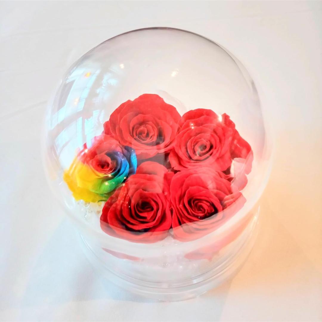 【高級プリザーブドフラワー】レインボーローズ ダイヤモンド赤いバラ ドーム