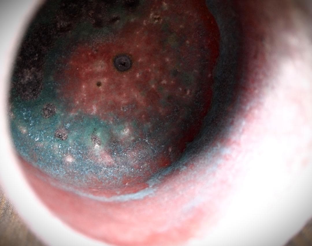 人気作家★高橋燎★信楽【窯変】焼き締め湯のみ★トレインキルン薪窯