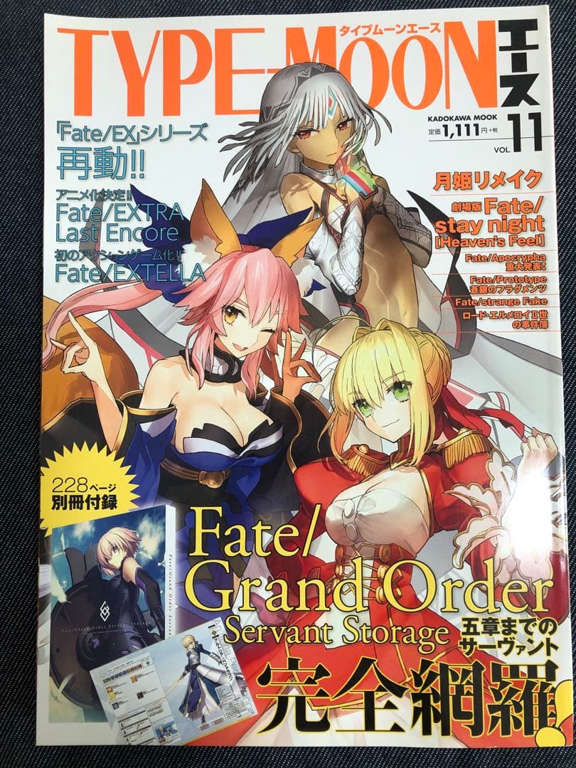 【中古品】【希少品】TYPE-MOONエース 11冊セット（付録一部なし）