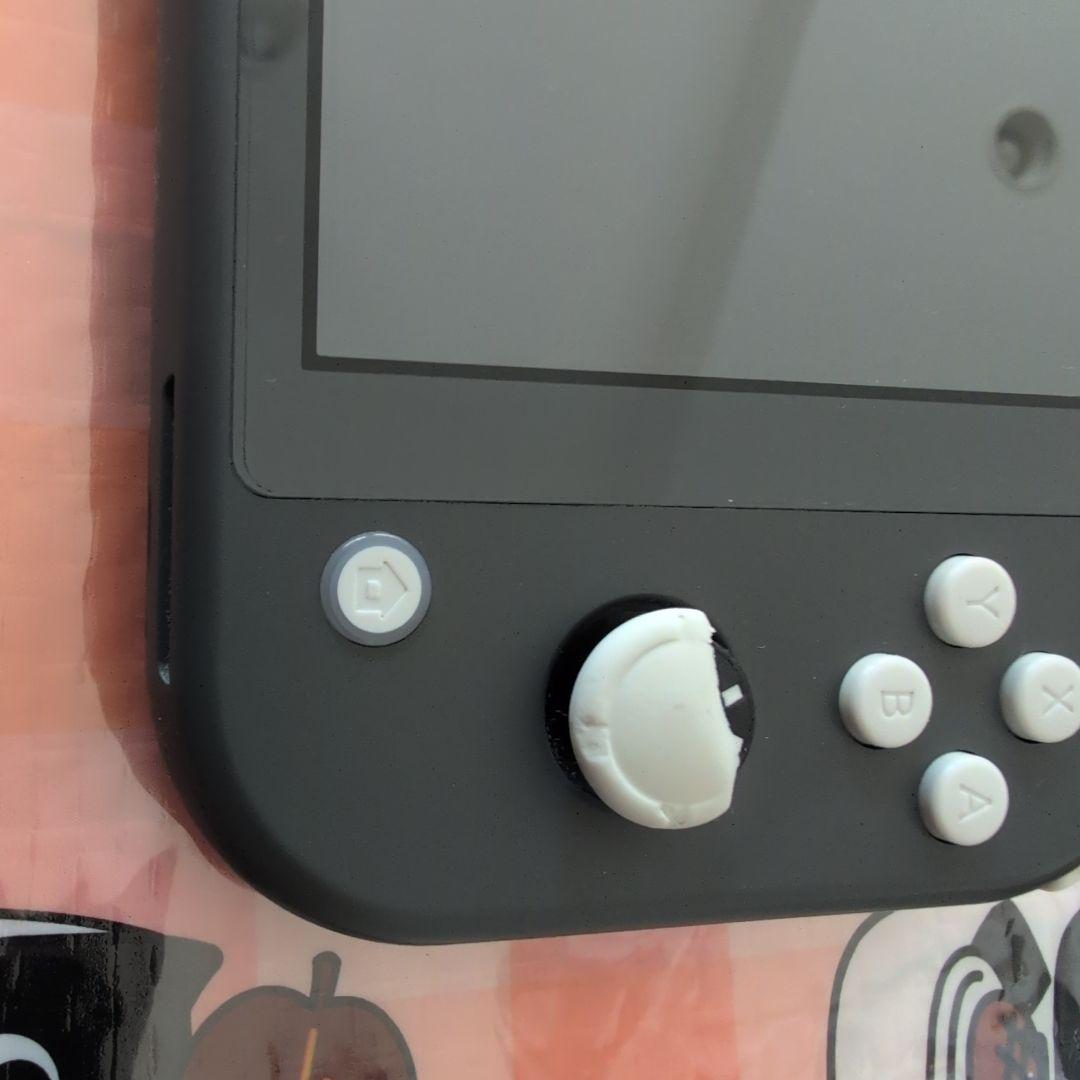 Nintendo Switch Lite グレー 本体 ACアダプター付き