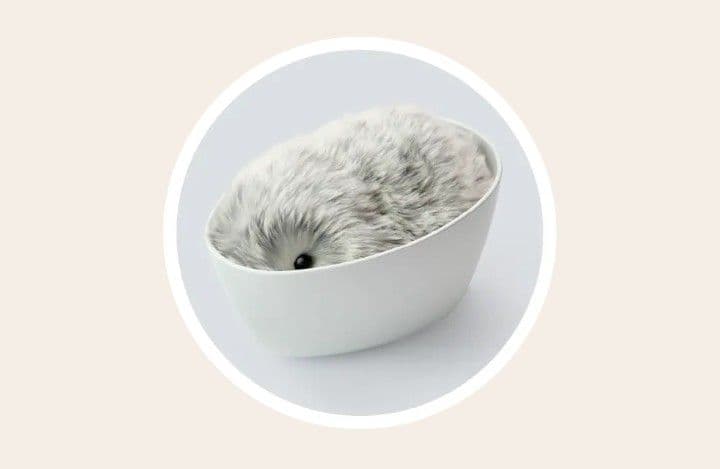 Moflin　モフリン　AIペットロボット　シルバー