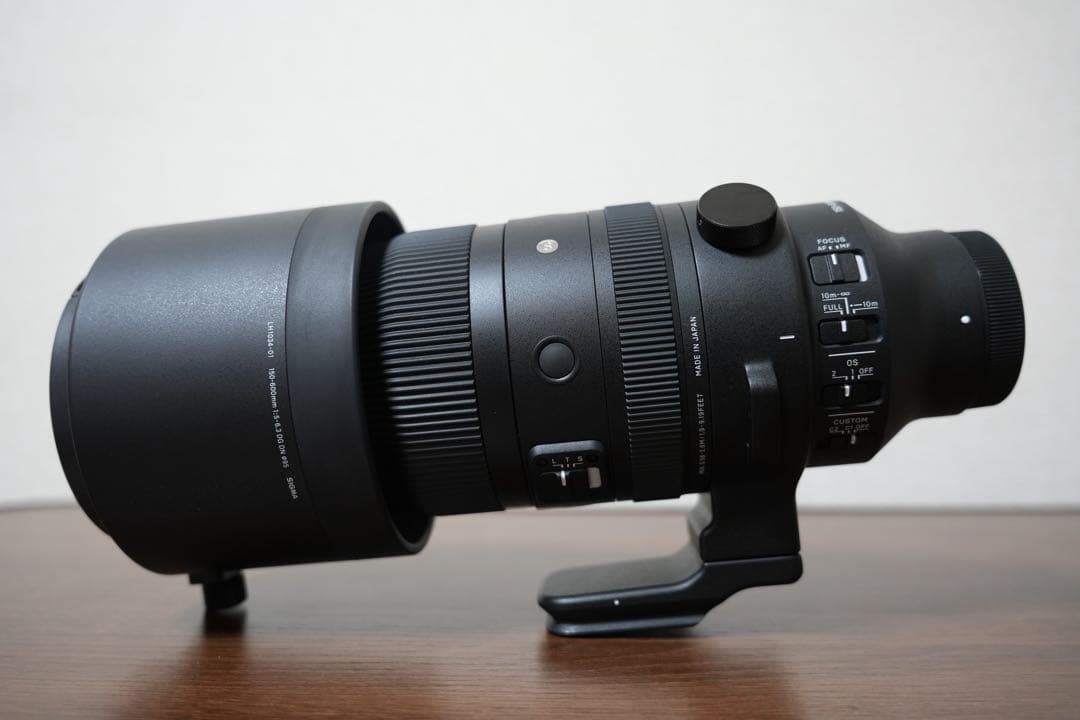 SIGMA 150-600mm F5-6.3 DG DN OS Eマウント