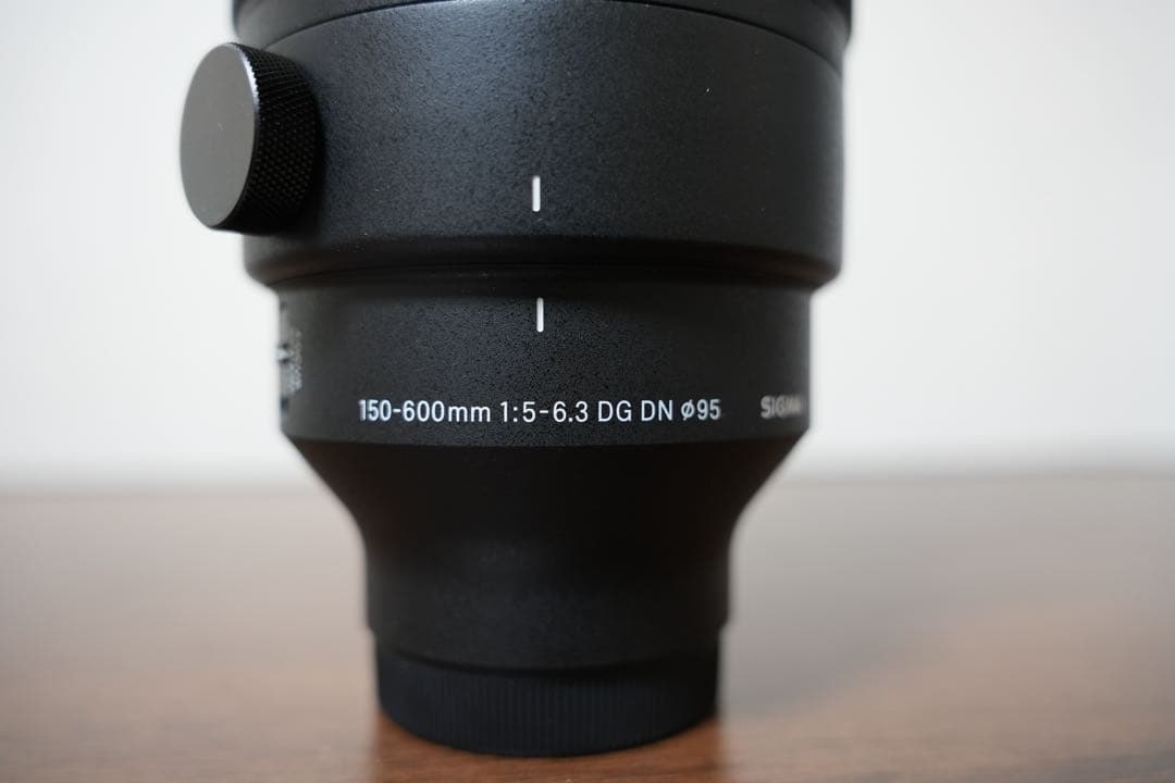 SIGMA 150-600mm F5-6.3 DG DN OS Eマウント
