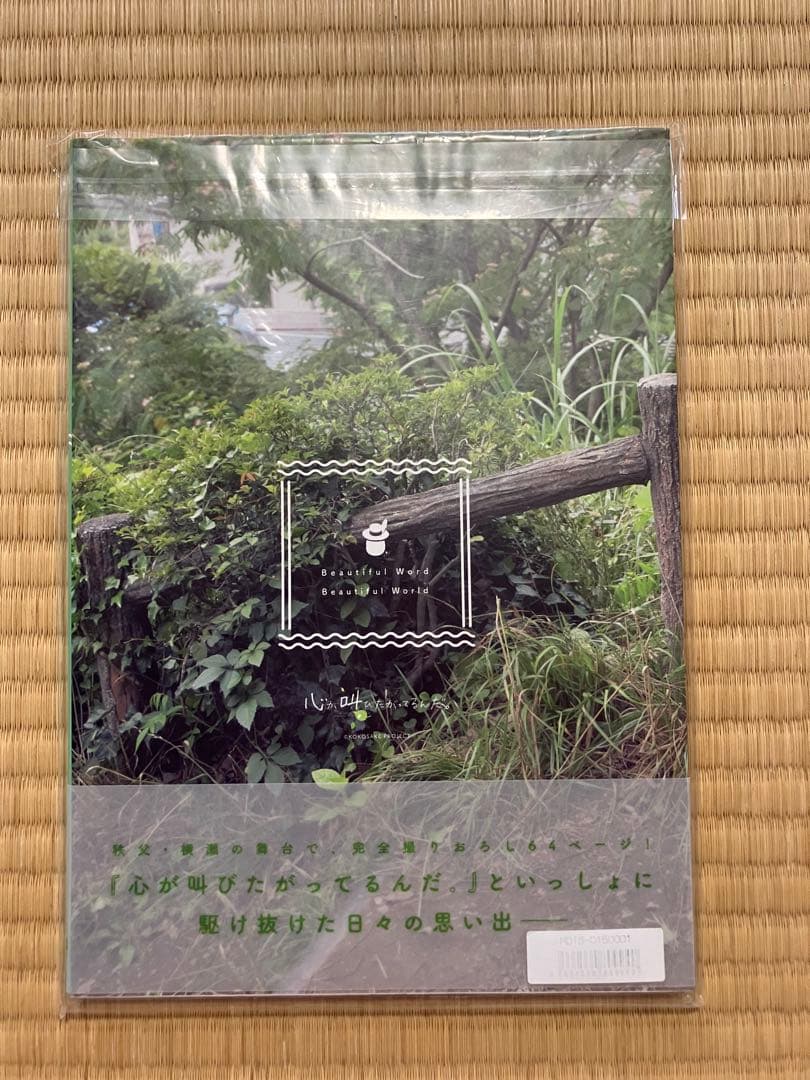 水瀬いのり ここさけ フォトブック